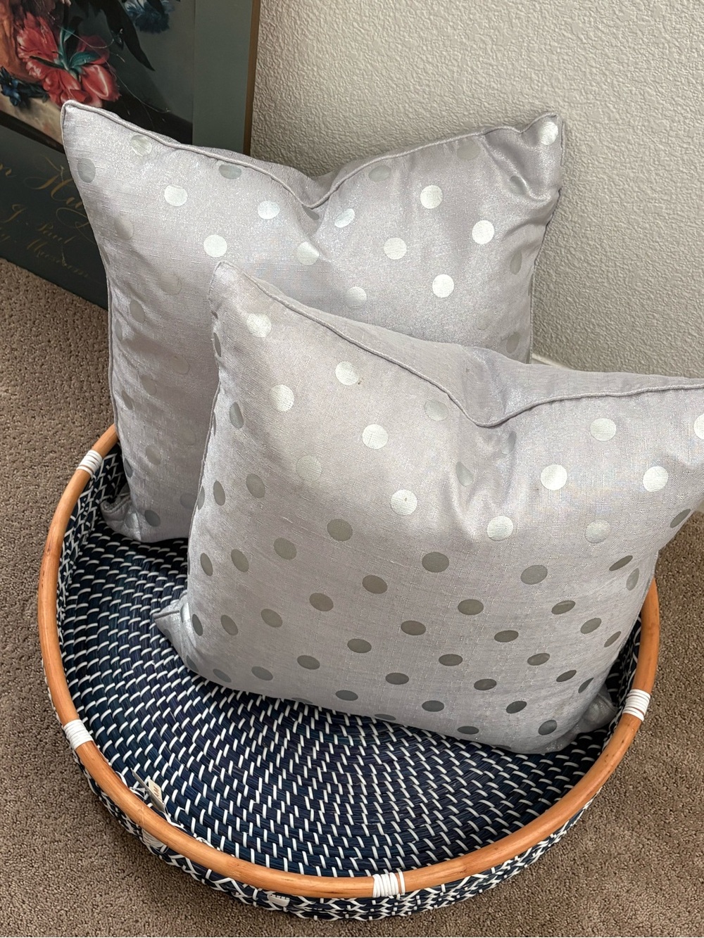 Home Accents Silver Polka Dot Decorative Throw Pillow - Brand